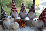 Christmas Celebration Ornament Mini gnomes - Holiday Decor- Tree Decoration