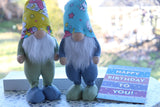 Birthday Party decoration - Standing Gnome - Party Decorations - Birthday gnomes -