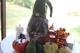 Hello Fall Gnomes; Fall Home Decor Gnomes for home, Adorable Handmade Gnomes, Green Gnome for home, Gift for Mom, Home decor idea