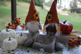 Fall Decoration - Autumn gnomes - Fall gnomes - Thanksgiving gnome